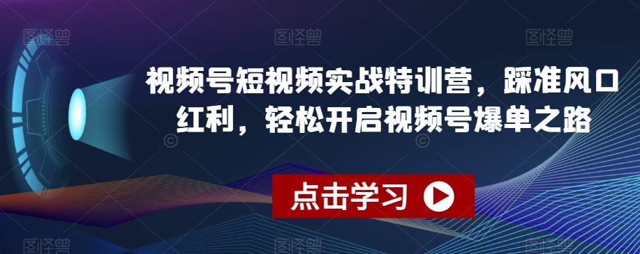 视频号短视频实战特训营，踩准风口红利，轻松开启视频号爆单之路-511资料网