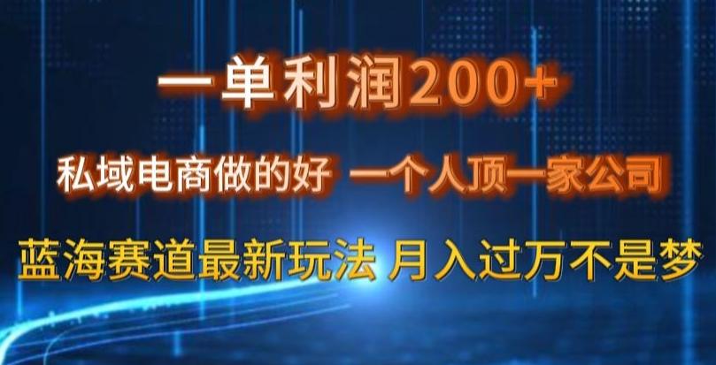 一单利润200私域电商做的好，一个人顶一家公司蓝海赛道最新玩法【揭秘】-511资料网