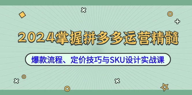 2024掌握拼多多运营精髓：爆款流程、定价技巧与SKU设计实战课-511资料网