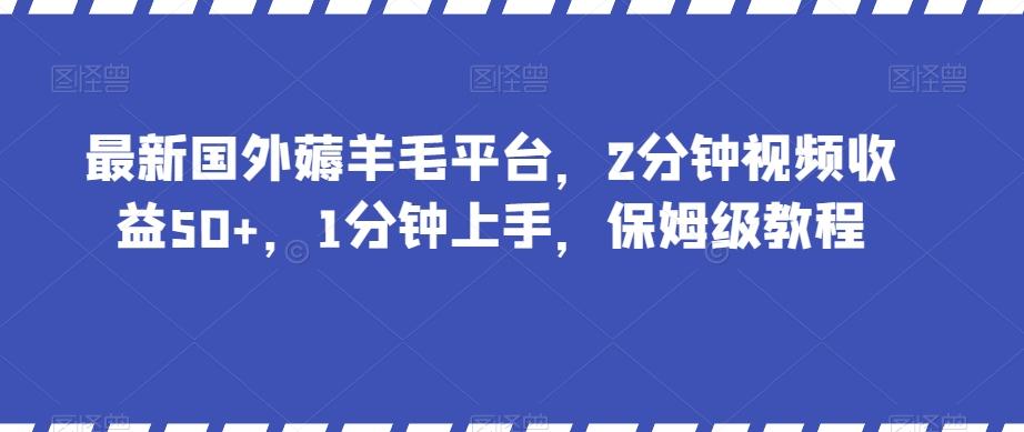 最新国外薅羊毛平台，2分钟视频收益50+，1分钟上手，保姆级教程【揭秘】-511资料网