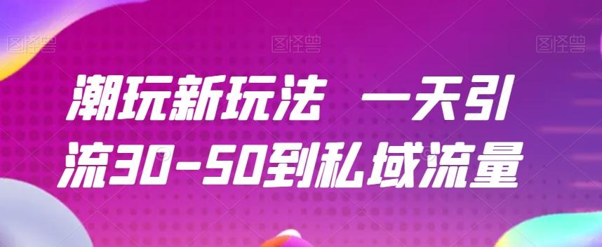 潮玩新玩法一天引流30-50到私域流量-511资料网