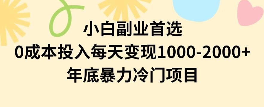 小白副业首选，0成本投入，每天变现1000-2000年底暴力冷门项目【揭秘】-511资料网
