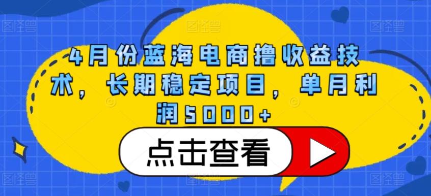 4月份蓝海电商撸收益技术，长期稳定项目，单月利润5000+【揭秘】-511资料网
