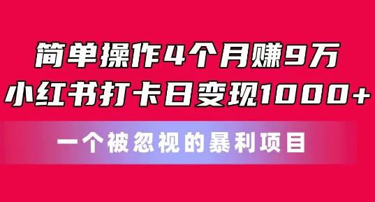 简单操作4个月赚9w，小红书打卡日变现1k，一个被忽视的暴力项目【揭秘】-511资料网