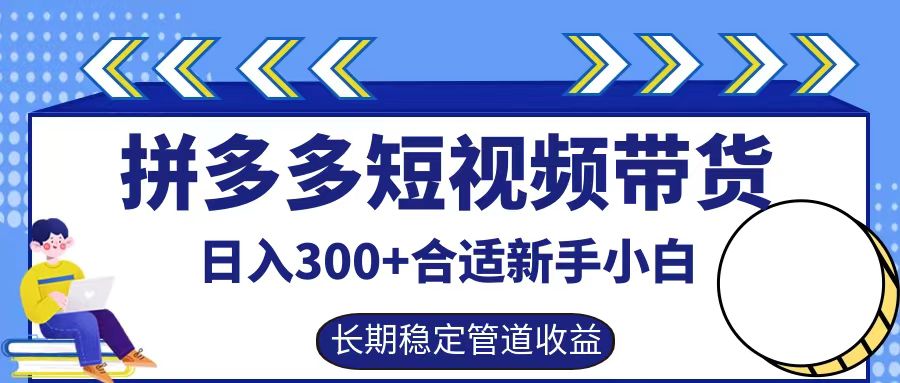 拼多多短视频带货日入300+，实操账户展示看就能学会-511资料网