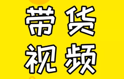 芒果老师·教你做抖音短视频和直播带货-511资料网