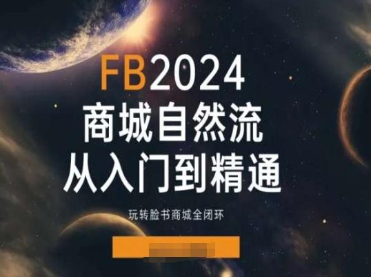2024Faceboo商城自然流(从入门到精通)，玩转脸书商城全闭环-511资料网