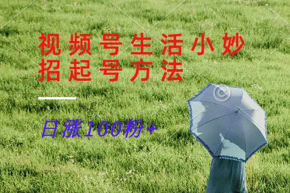 视频号生活小妙招分享赛道， 起号涨粉新方法，日涨100粉-511资料网