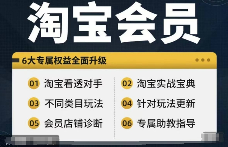 淘宝会员【淘宝所有课程，全面分析对手】，初级到高手全系实战宝典-511资料网