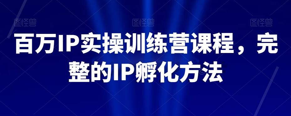 百万IP实操训练营课程，完整的IP孵化方法-511资料网