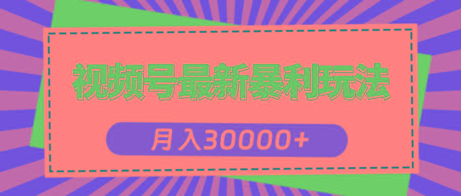 视频号最新暴利玩法，轻松月入30000+-511资料网
