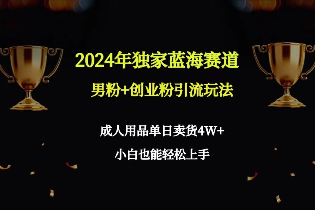 2024年独家蓝海赛道男粉+创业粉引流玩法，成人用品单日卖货4W+保姆教程-511资料网