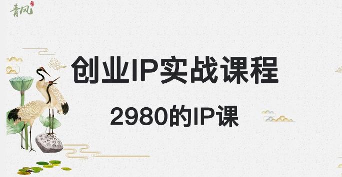 外边卖2980的创业IP课程，做私域月入5w+-511资料网