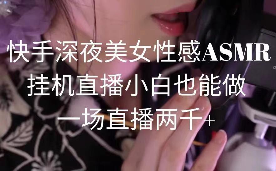 快手深夜美女性感ASMR挂机直播，小白也能做，一场直播两千+-511资料网