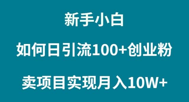 (9556期)新手小白如何通过卖项目实现月入10W+-511资料网
