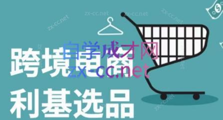 阿甘·2024年跨境电商选品案例-511资料网