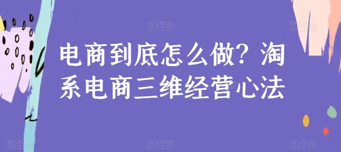 电商到底怎么做？淘系电商三维经营心法-511资料网