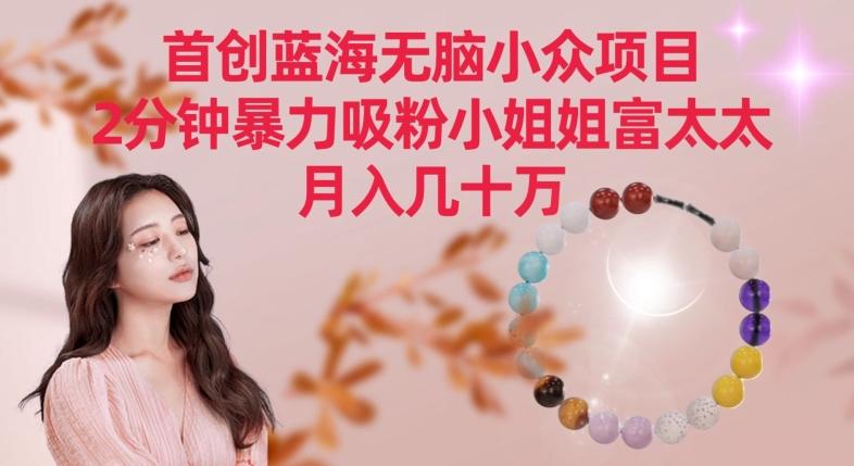 首创蓝海无脑小众项目，2分钟暴力吸粉小姐姐富太太，月入几十万【揭秘】-511资料网
