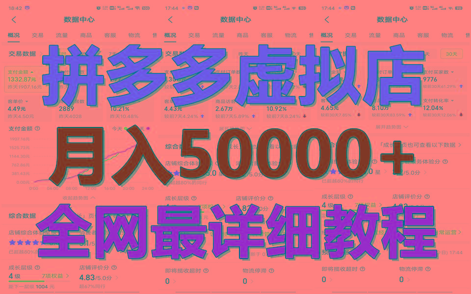 拼多多虚拟电商训练营月入50000+你也行，暴利稳定长久，副业首选-511资料网