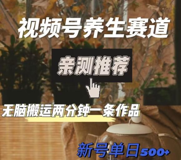 视频号养生赛道暴力掘金，无脑搬运，两分钟一条作品-新日单入500+-511资料网